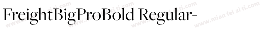FreightBigProBold Regular字体转换